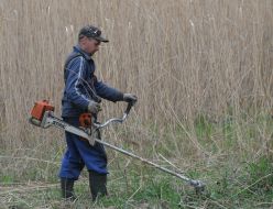 Cleanup in one of the parks in Kiev