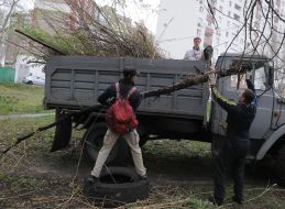 Cleanup in one of the parks in Kiev