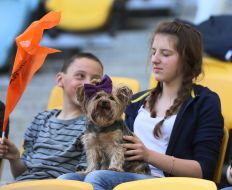 Fans of FC "Shakhter" (Donetsk)