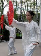 The participants of the carnival of cultures