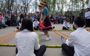 The participants of the carnival of cultures