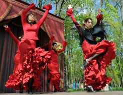 The participants of the carnival of cultures