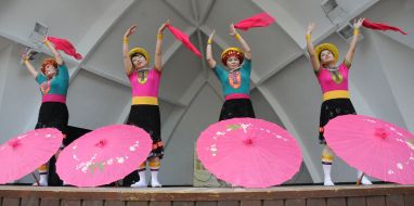 The participants of the carnival of cultures