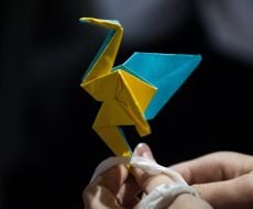 Paper Zhuravlik
