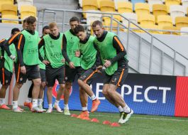Open training of FC "Shakhtar"