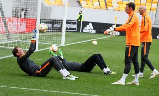 Open training of FC "Shakhtar"