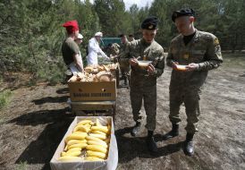 Field kitchen
