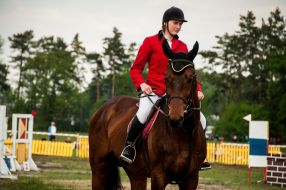 Horse-racing festival