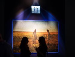 The exhibition "projection"