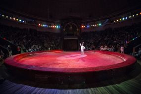 Premiere of clown program "Clowns Forever!"