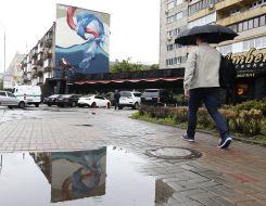 Image with the image of a flamingo