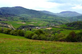 The landscape of the area of forest land