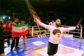 The professional MMA competition