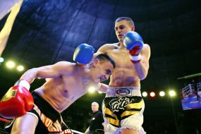 The professional MMA competition