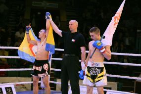 The professional MMA competition