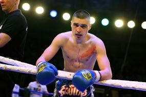 The professional MMA competition