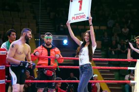 The professional MMA competition