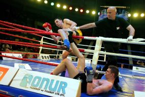 The professional MMA competition