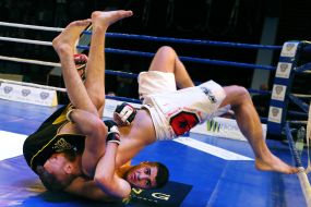 The professional MMA competition