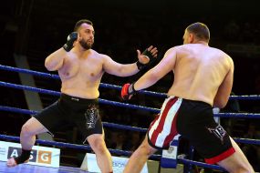 The professional MMA competition
