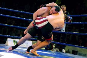 The professional MMA competition