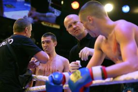 The professional MMA competition