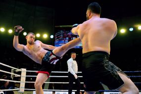 The professional MMA competition