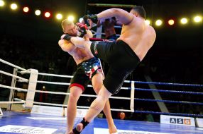 The professional MMA competition