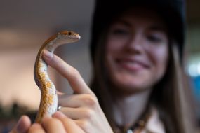 Kyiv Comic Con festival