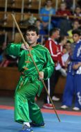 Open European Championships in Kung Fu