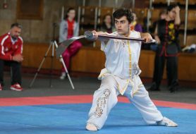 Open European Championships in Kung Fu