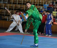 Open European Championships in Kung Fu