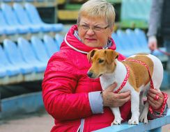 Выставка собак всех пород