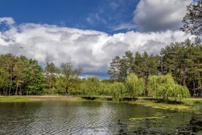 The park of Partisan Glory in Kiev