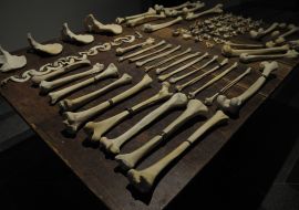 Exhibition "The loss. The memory about Babi Yar"