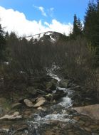 View of the mountain Goverla