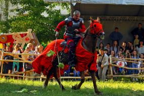 Participant of festival