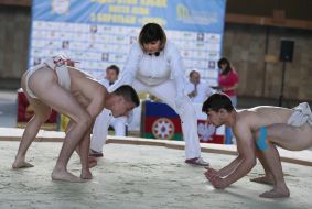 Lvov Cup of sumo wrestling