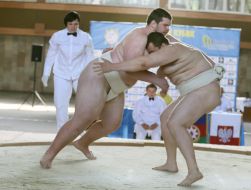 Lvov Cup of sumo wrestling