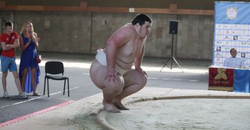 Lvov Cup of sumo wrestling