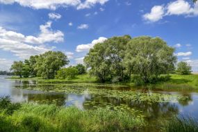 Залив Верблюд в Киеве