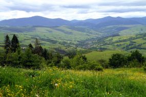 The landscape in Carpathians