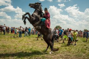 Holiday "Cossack fame healing spring"