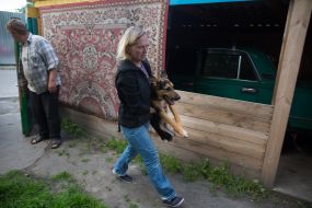 Собака-інвалід Руфус