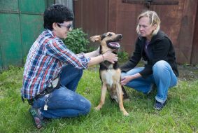 Собака-інвалід Руфус