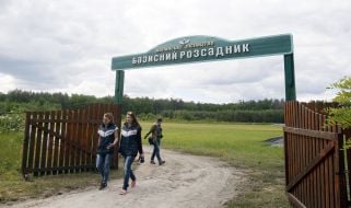 Entrance to the territory of the Basic nursery