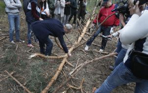 Oleksandr Tarasevych shows the defeat of wood