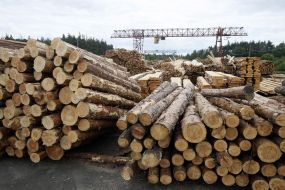 Stock-piling of timber