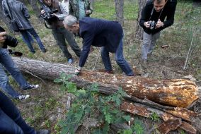 Oleksandr Tarasevych shows the defeat of wood