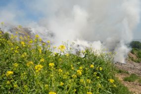 The fire at the dump in the Lviv region